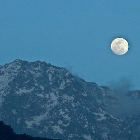 Divyansh Hotel Dharamshala Dış mekan fotoğraf